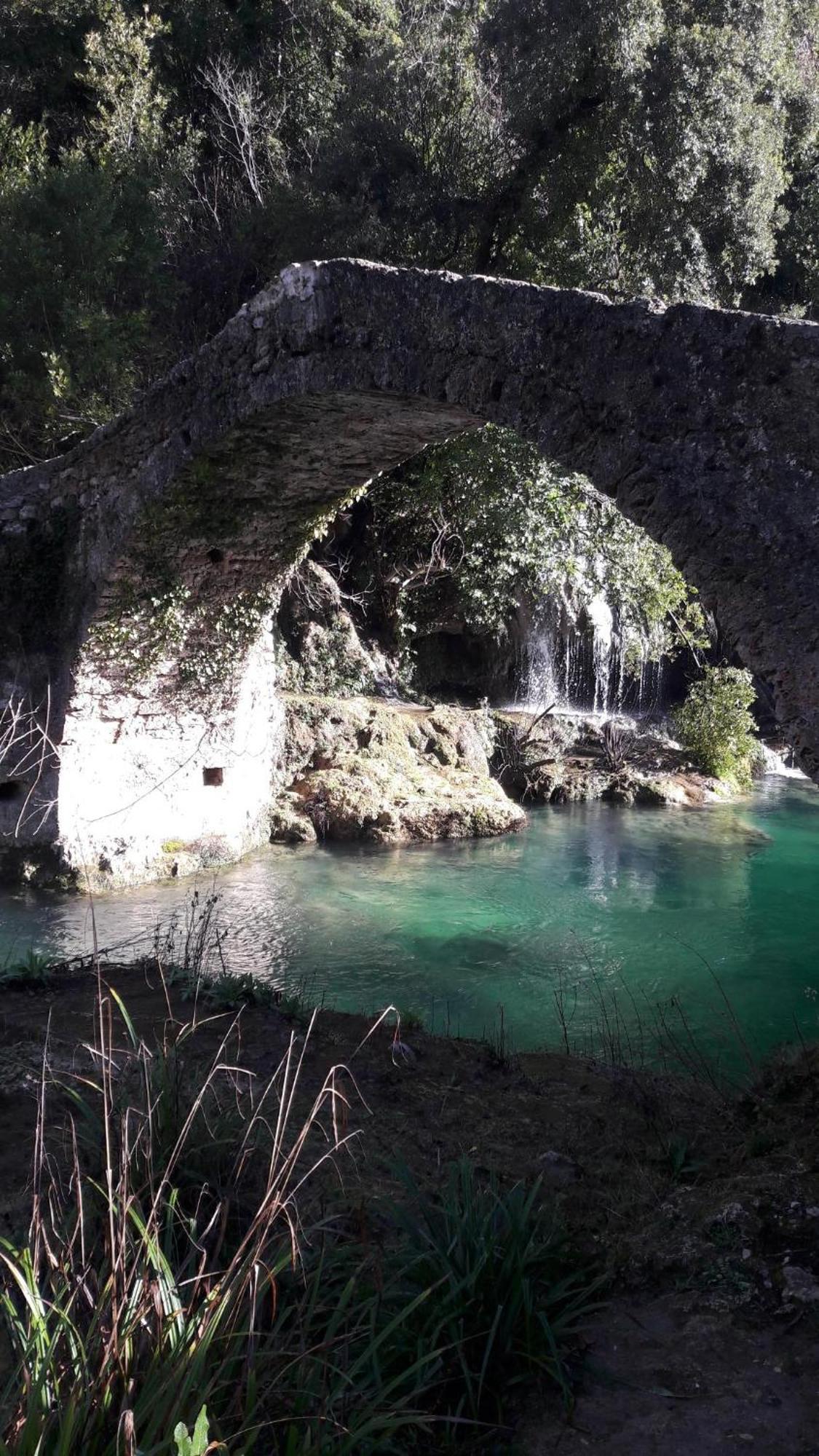 Chez Dom & Albert Saint-Cezaire-sur-Siagne Экстерьер фото